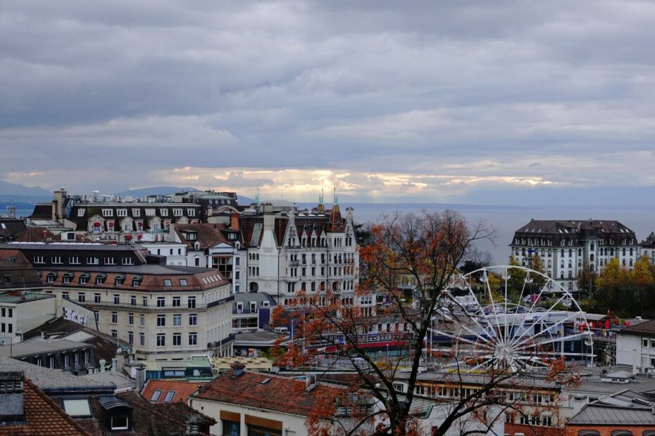 a view of a city with a ferris wheel in the foreground